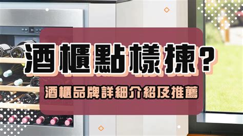 酒柜|酒櫃推介、酒櫃比較、酒櫃牌子及選購攻略 2024